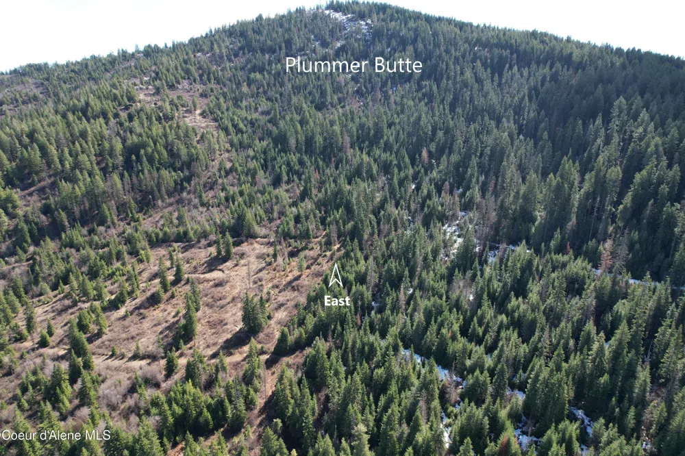 Tract 5 Thimbleberry Lane Plummer, ID 83851
