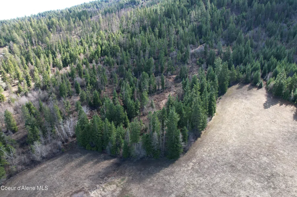 Tract 5 Thimbleberry Lane Plummer, ID 83851
