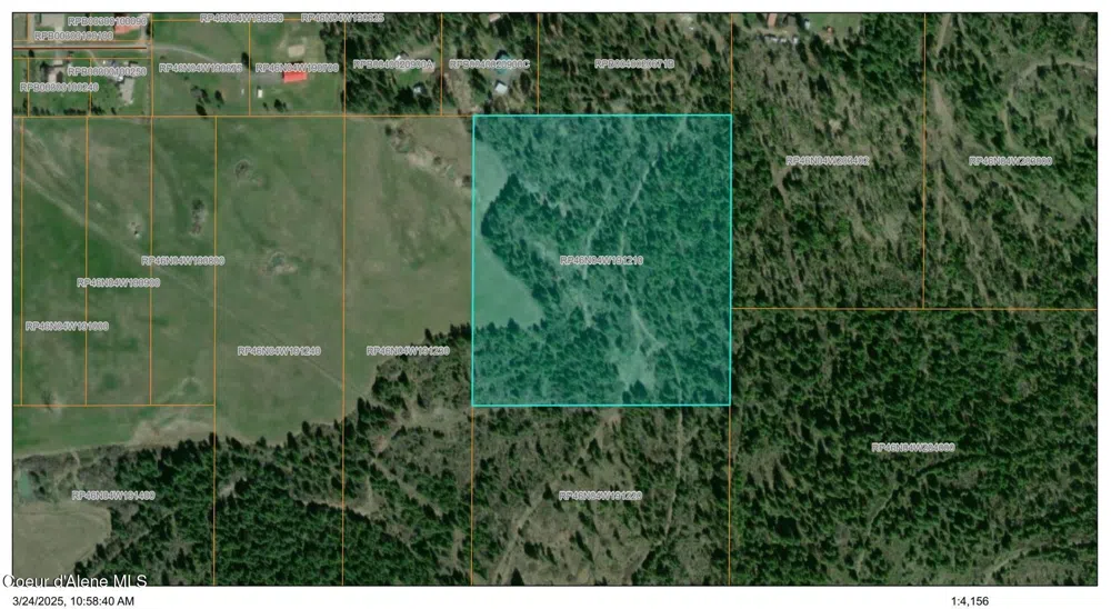 Tract 5 Thimbleberry Lane Plummer, ID 83851