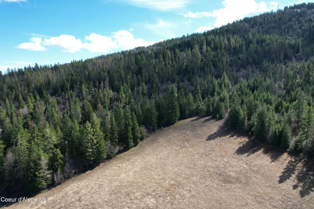 Tract 5 Thimbleberry Lane Plummer, ID 83851