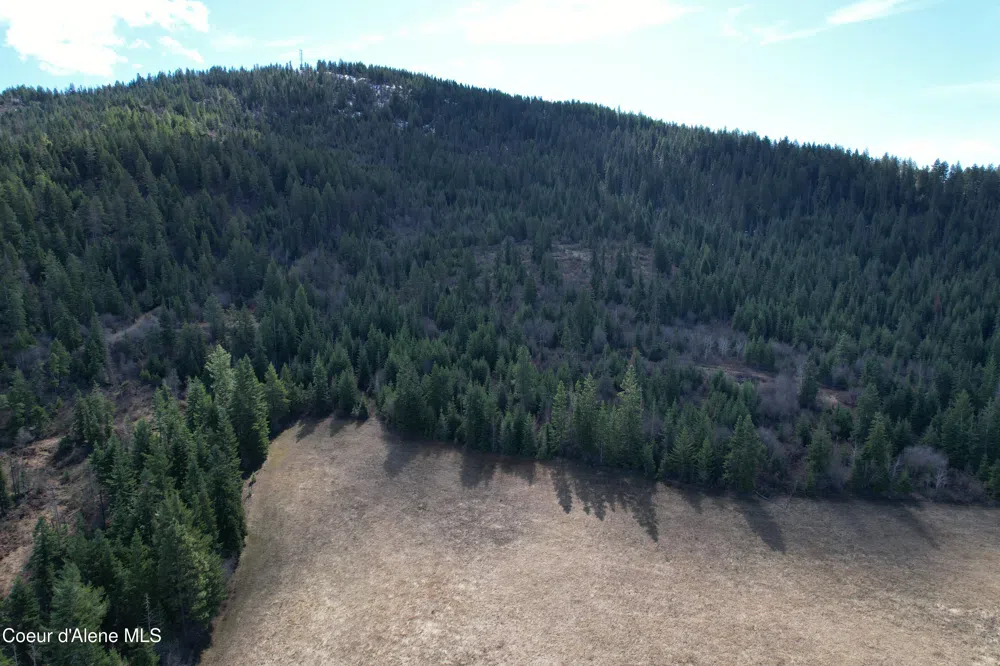 Tract 5 Thimbleberry Lane Plummer, ID 83851