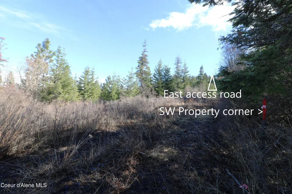 Tract 5 Thimbleberry Lane Plummer, ID 83851