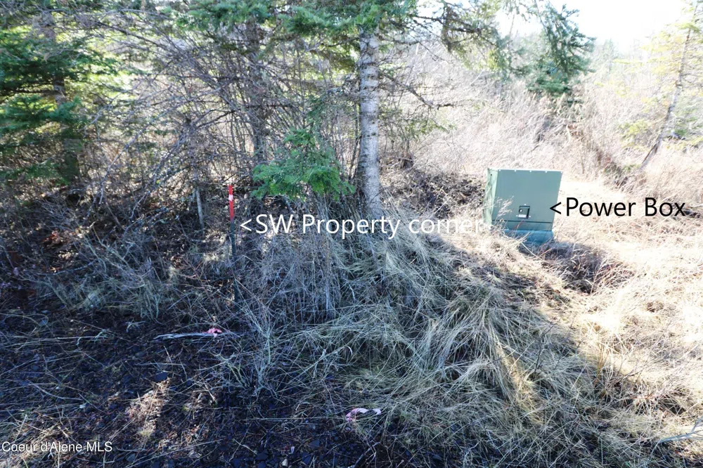 Tract 5 Thimbleberry Lane Plummer, ID 83851