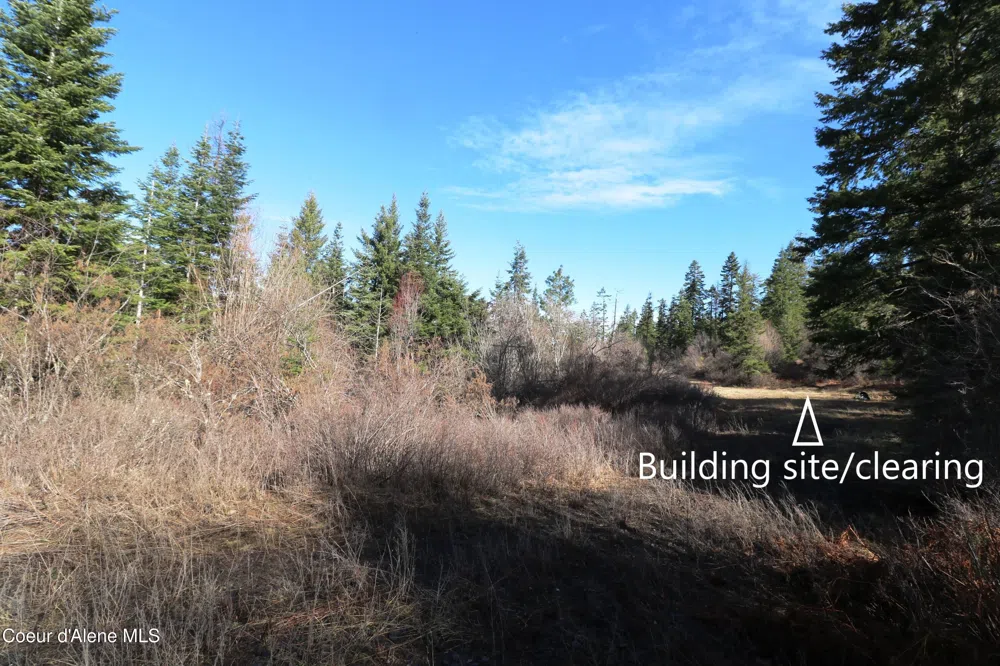 Tract 5 Thimbleberry Lane Plummer, ID 83851