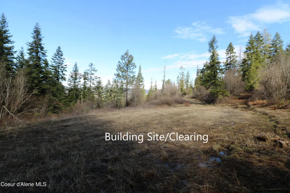 Tract 5 Thimbleberry Lane Plummer, ID 83851