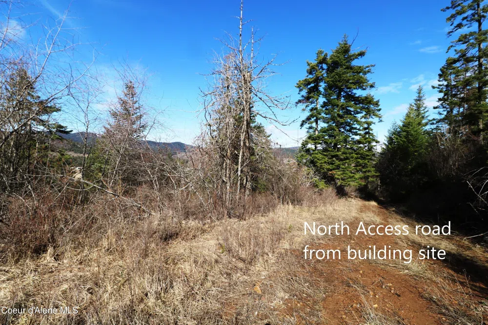 Tract 5 Thimbleberry Lane Plummer, ID 83851