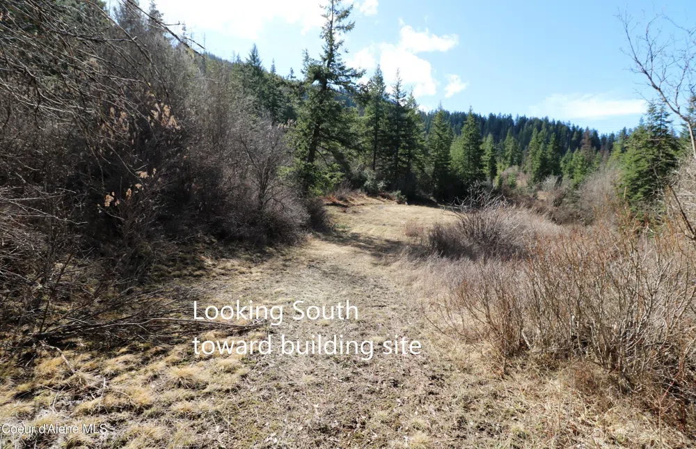 Tract 5 Thimbleberry Lane Plummer, ID 83851