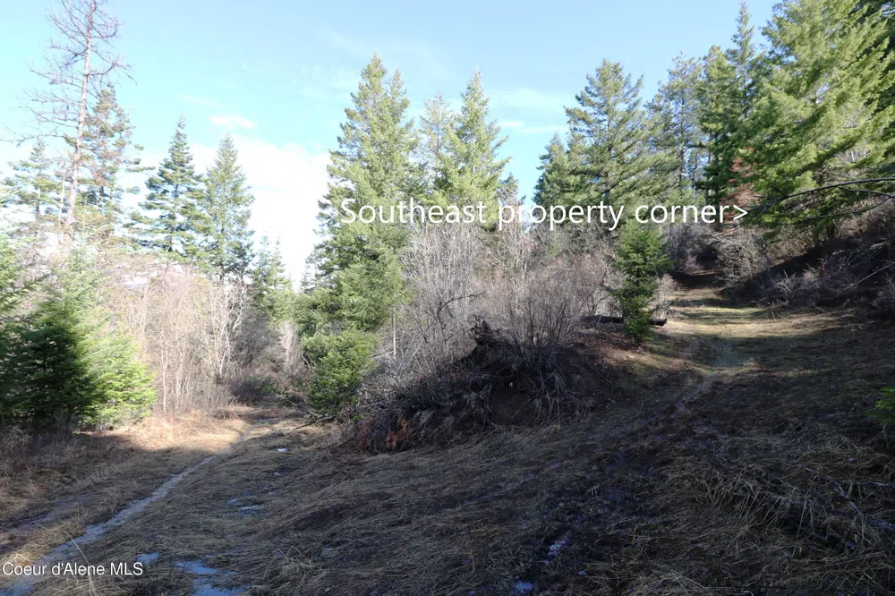 Tract 5 Thimbleberry Lane Plummer, ID 83851