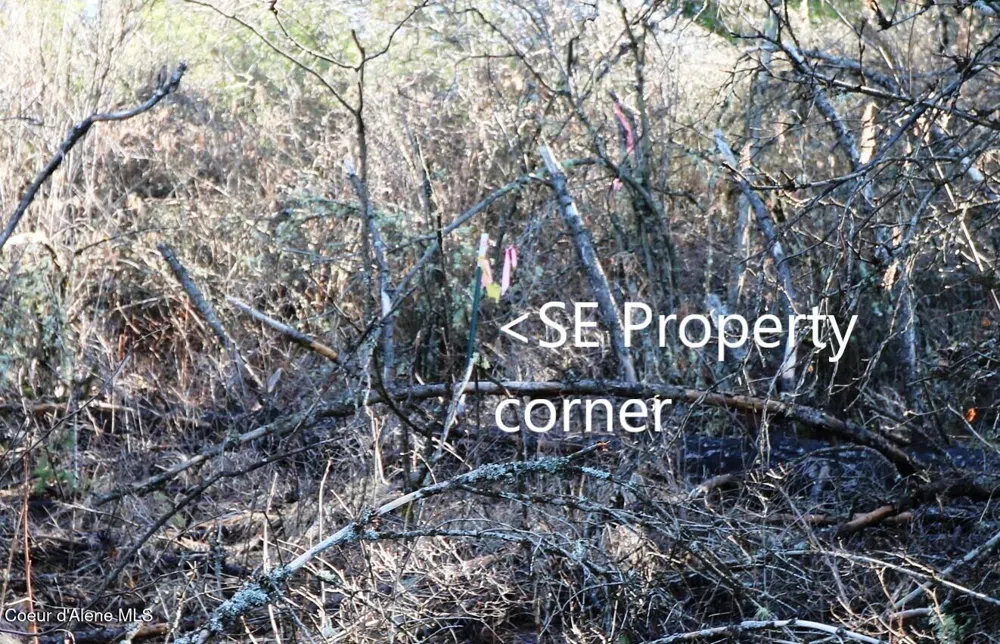 Tract 5 Thimbleberry Lane Plummer, ID 83851