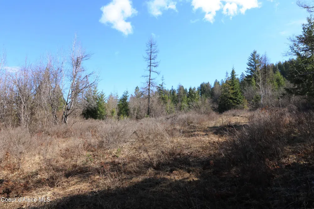 Tract 5 Thimbleberry Lane Plummer, ID 83851