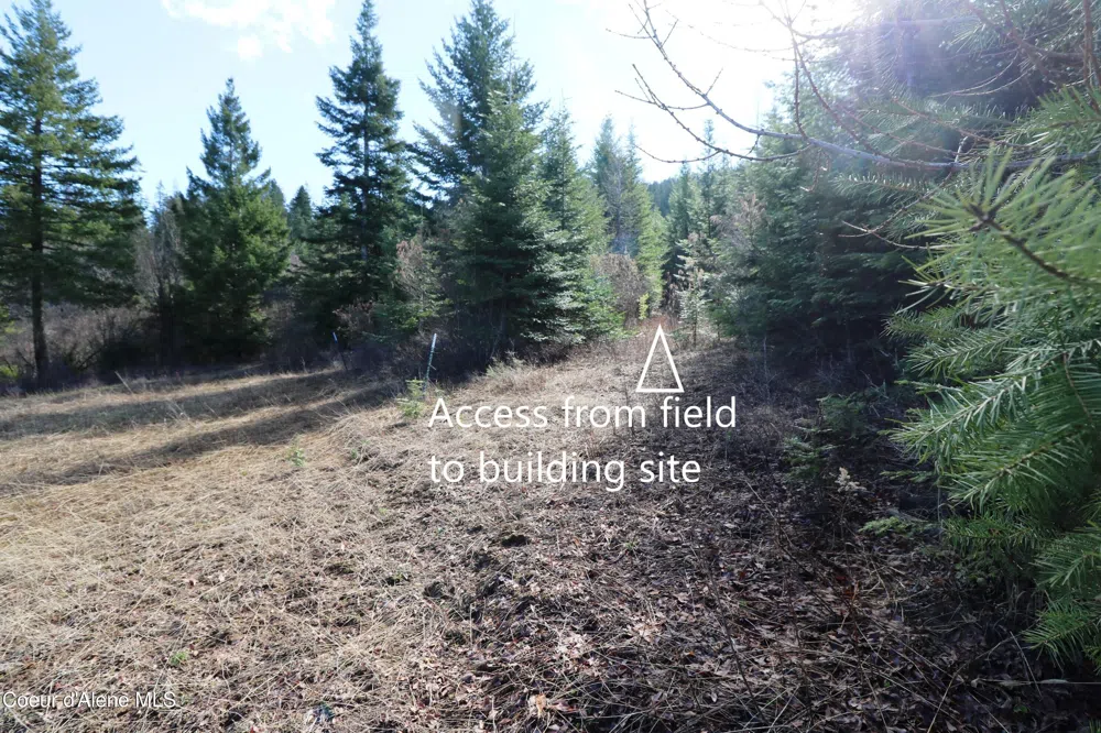 Tract 5 Thimbleberry Lane Plummer, ID 83851