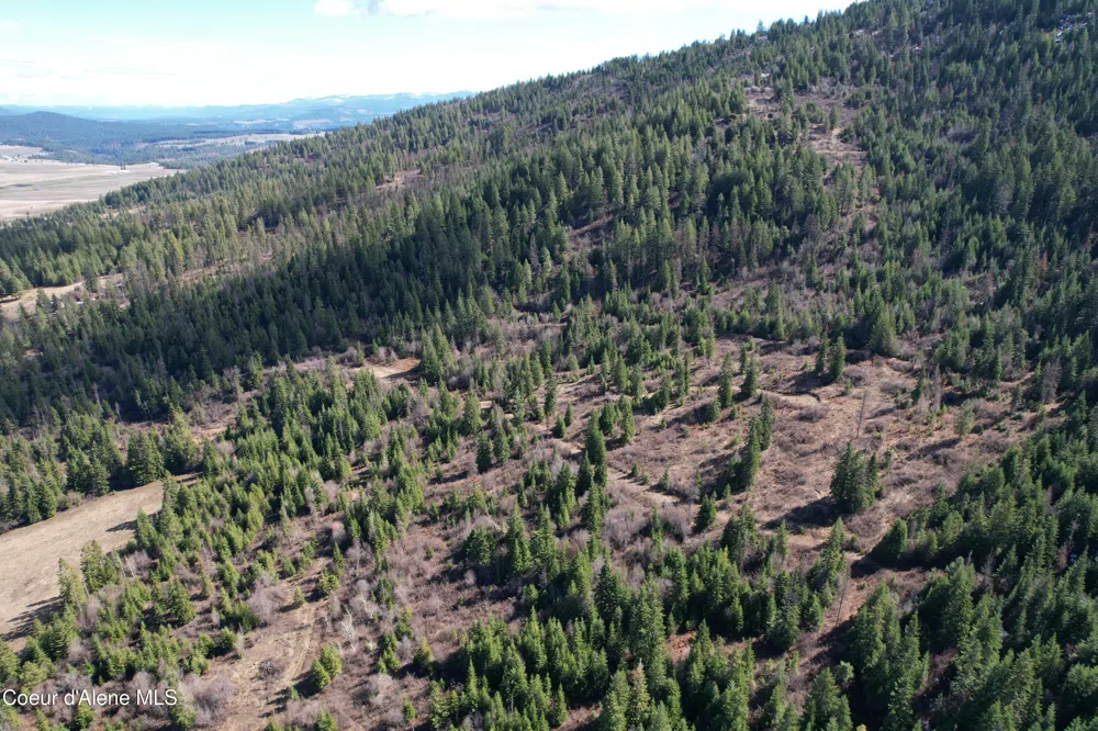 Tract 5 Thimbleberry Lane Plummer, ID 83851