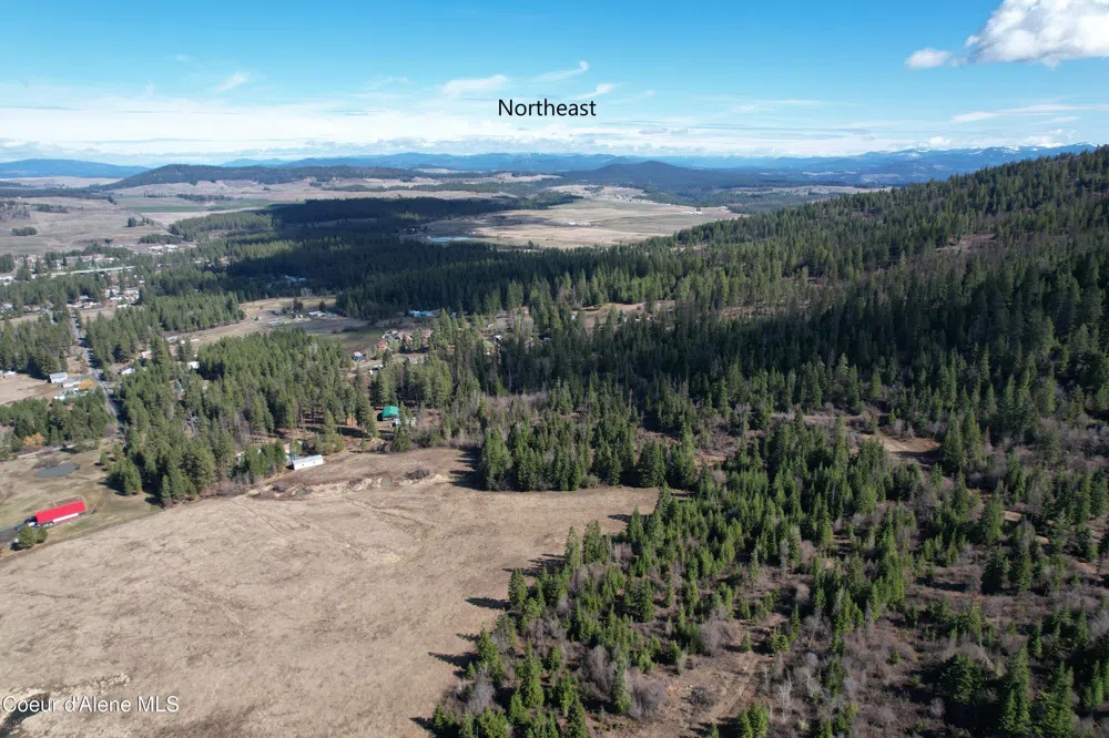 Tract 5 Thimbleberry Lane Plummer, ID 83851