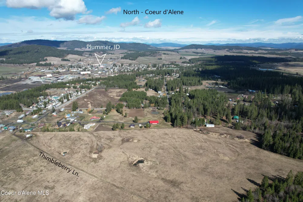 Tract 5 Thimbleberry Lane Plummer, ID 83851
