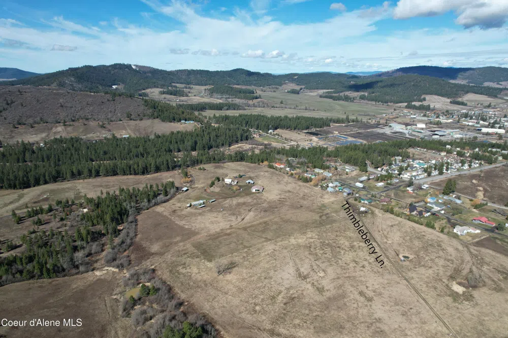 Tract 5 Thimbleberry Lane Plummer, ID 83851
