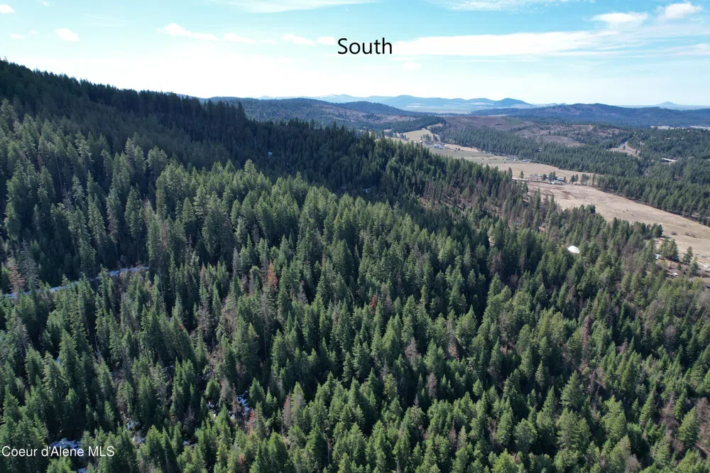Tract 5 Thimbleberry Lane Plummer, ID 83851