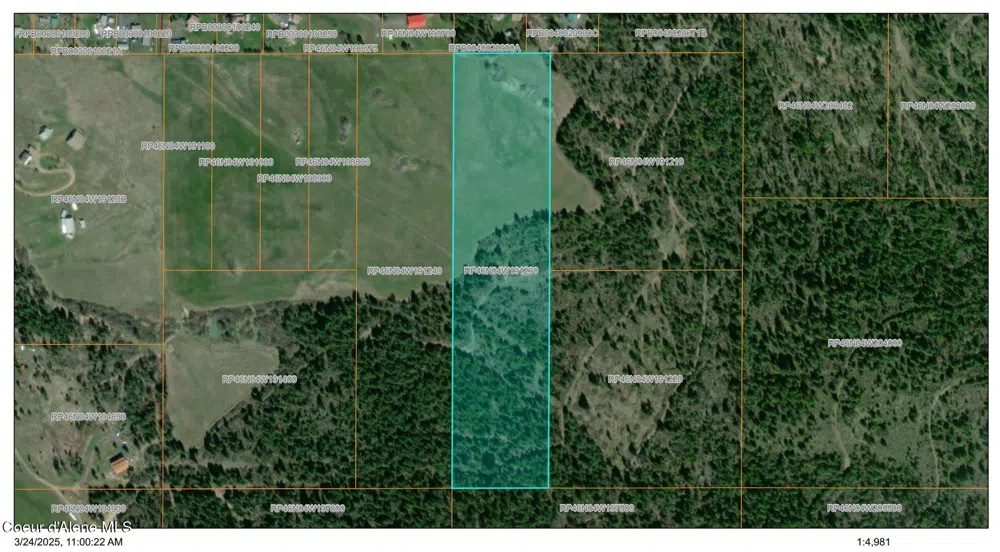 Tract 4 Thimbleberry Lane Plummer, ID 83851