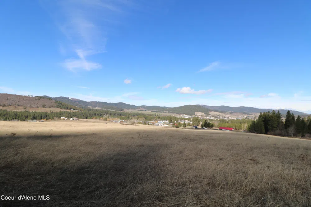 Tract 4 Thimbleberry Lane Plummer, ID 83851
