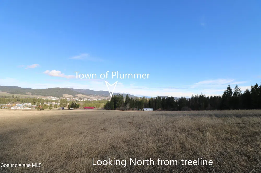 Tract 4 Thimbleberry Lane Plummer, ID 83851