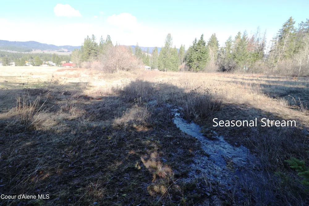 Tract 4 Thimbleberry Lane Plummer, ID 83851