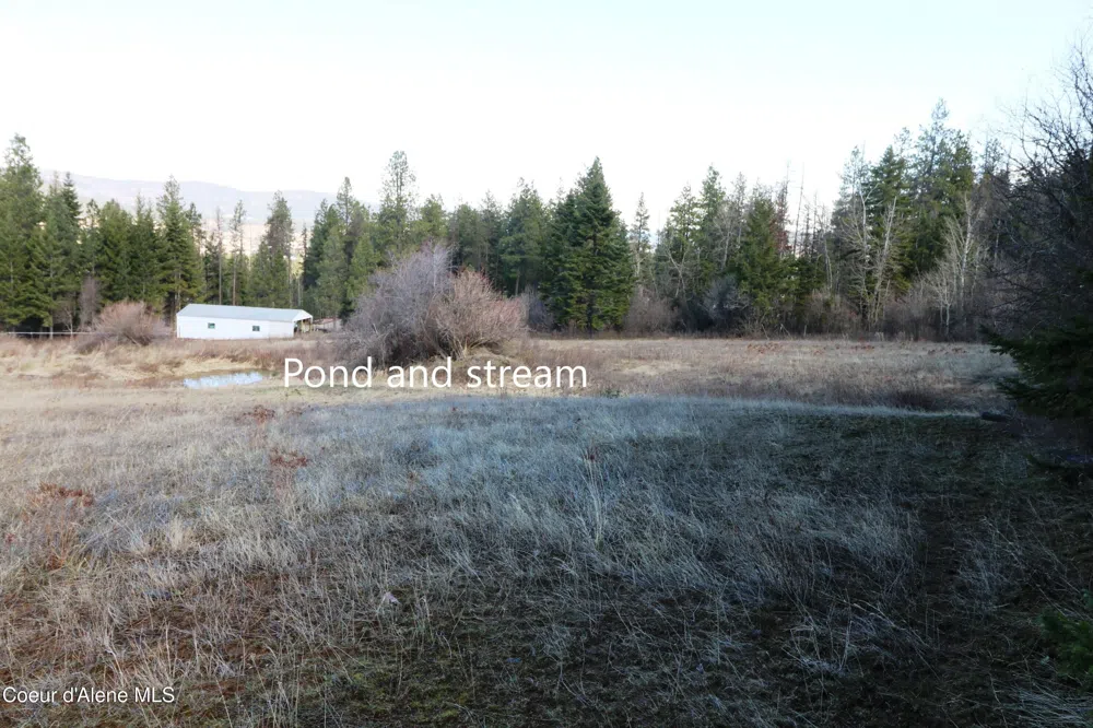 Tract 4 Thimbleberry Lane Plummer, ID 83851