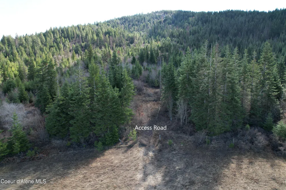 Tract 4 Thimbleberry Lane Plummer, ID 83851