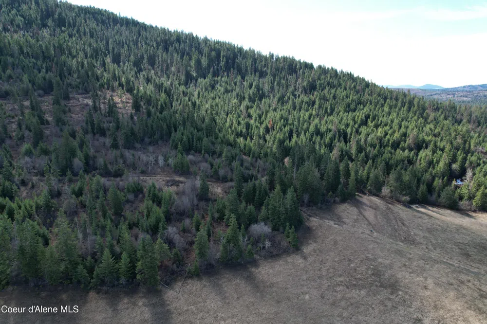 Tract 4 Thimbleberry Lane Plummer, ID 83851
