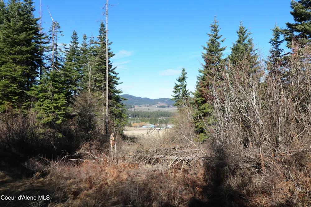 Tract 4 Thimbleberry Lane Plummer, ID 83851