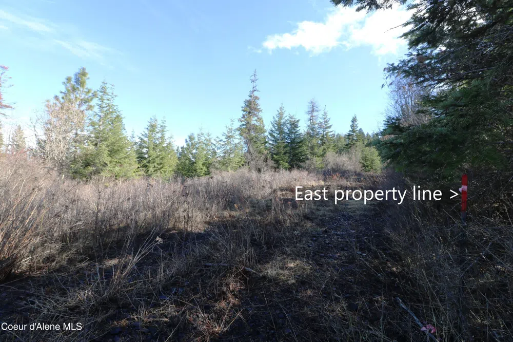 Tract 4 Thimbleberry Lane Plummer, ID 83851