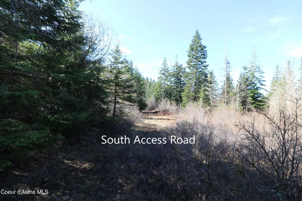 Tract 4 Thimbleberry Lane Plummer, ID 83851