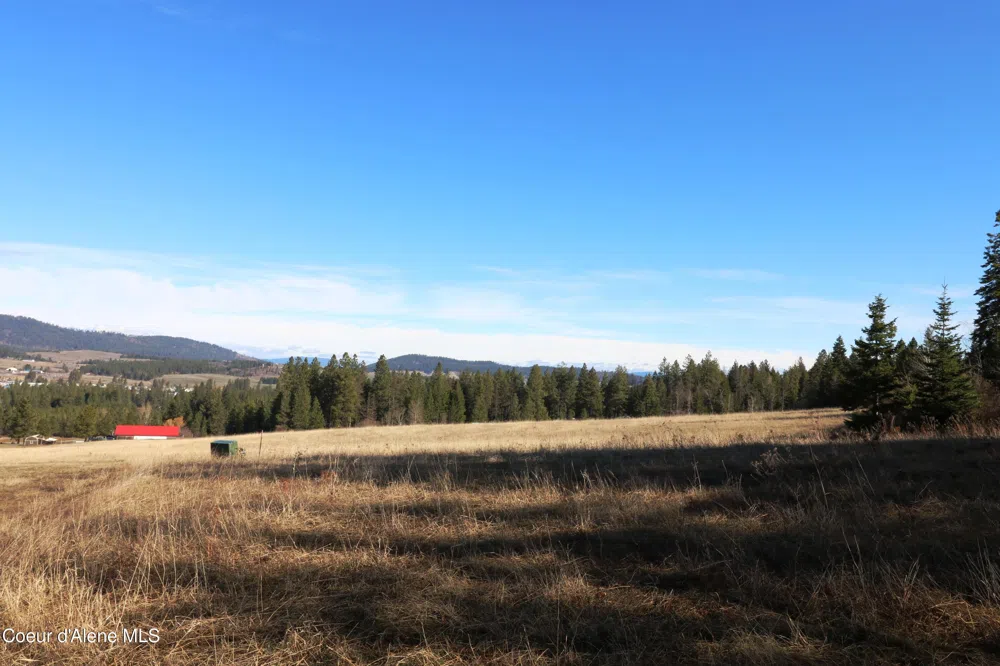 Tract 4 Thimbleberry Lane Plummer, ID 83851