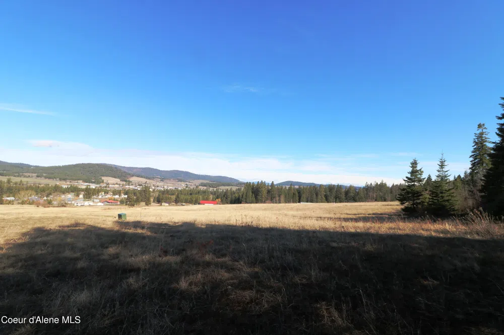 Tract 4 Thimbleberry Lane Plummer, ID 83851