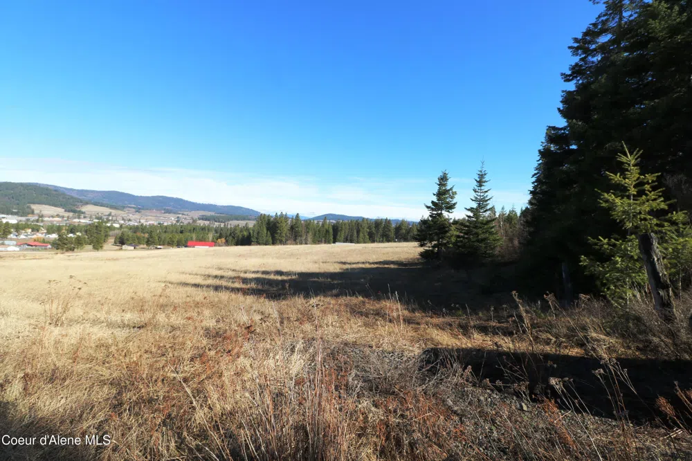Tract 4 Thimbleberry Lane Plummer, ID 83851