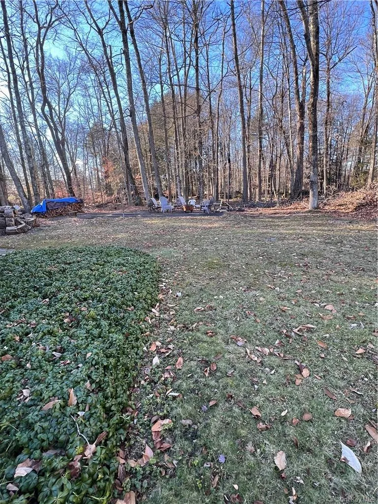 45 W Adirondack Trail Smallwood, NY 12778