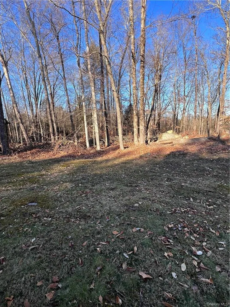 45 W Adirondack Trail Smallwood, NY 12778