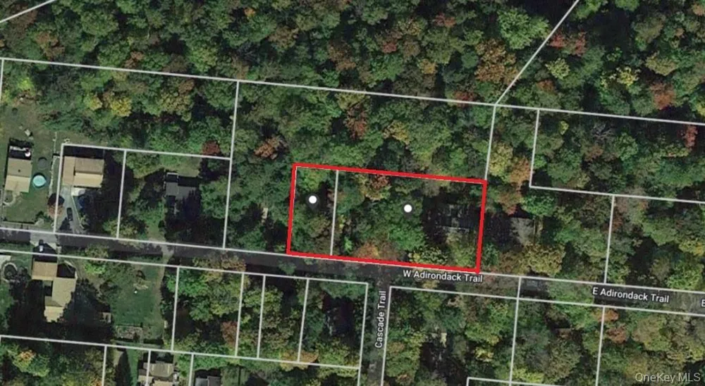 45 W Adirondack Trail Smallwood, NY 12778