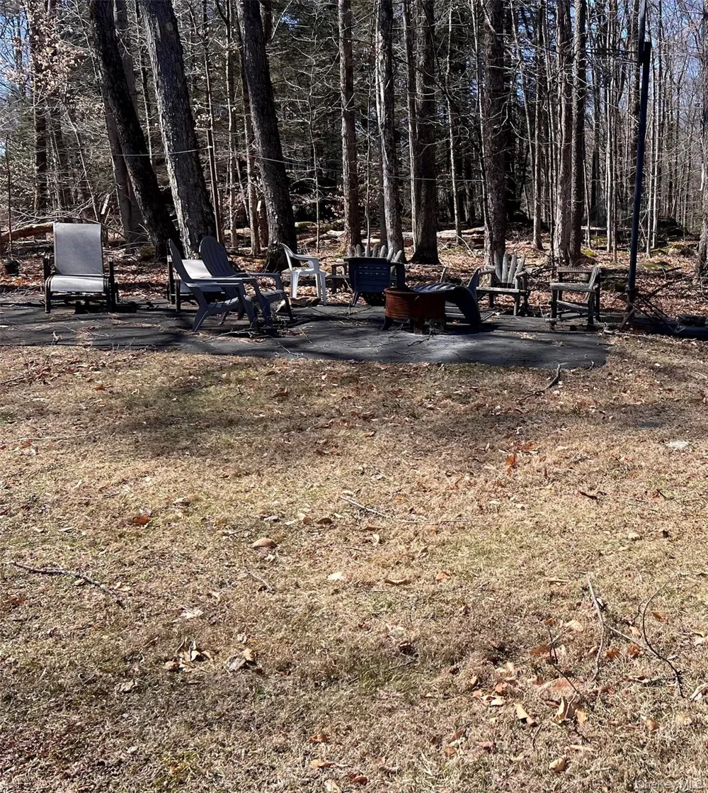45 W Adirondack Trail Smallwood, NY 12778