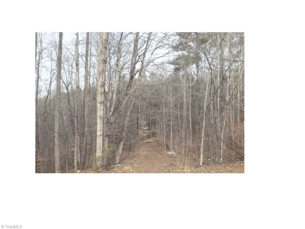00 Mountview Drive Pelham, NC 27311
