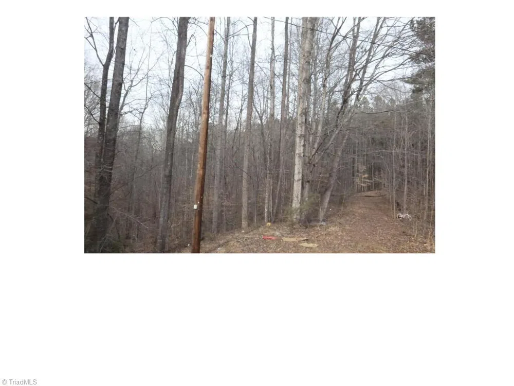 00 Mountview Drive Pelham, NC 27311