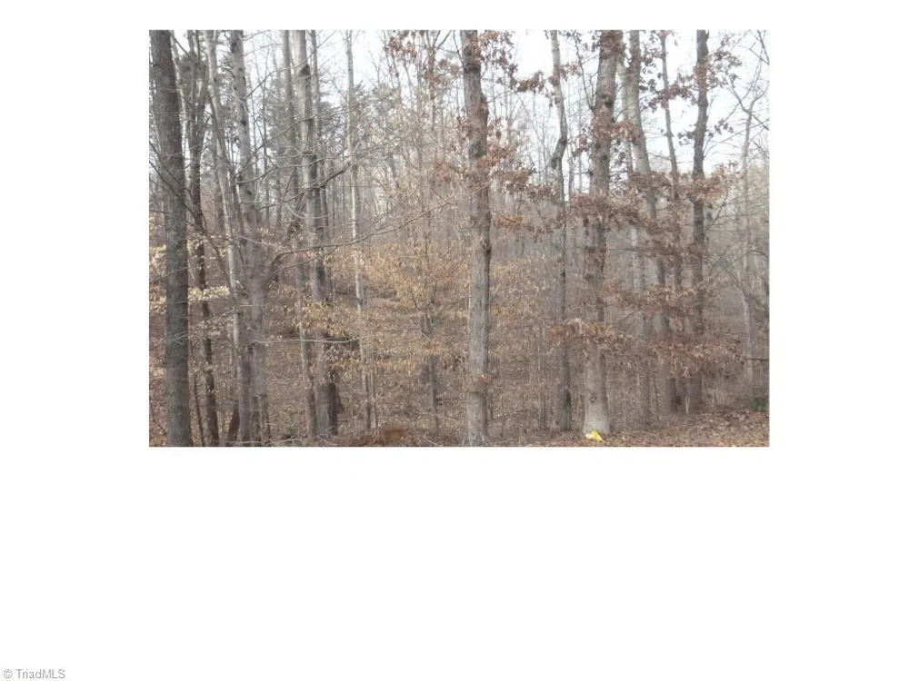 00 Mountview Drive Pelham, NC 27311
