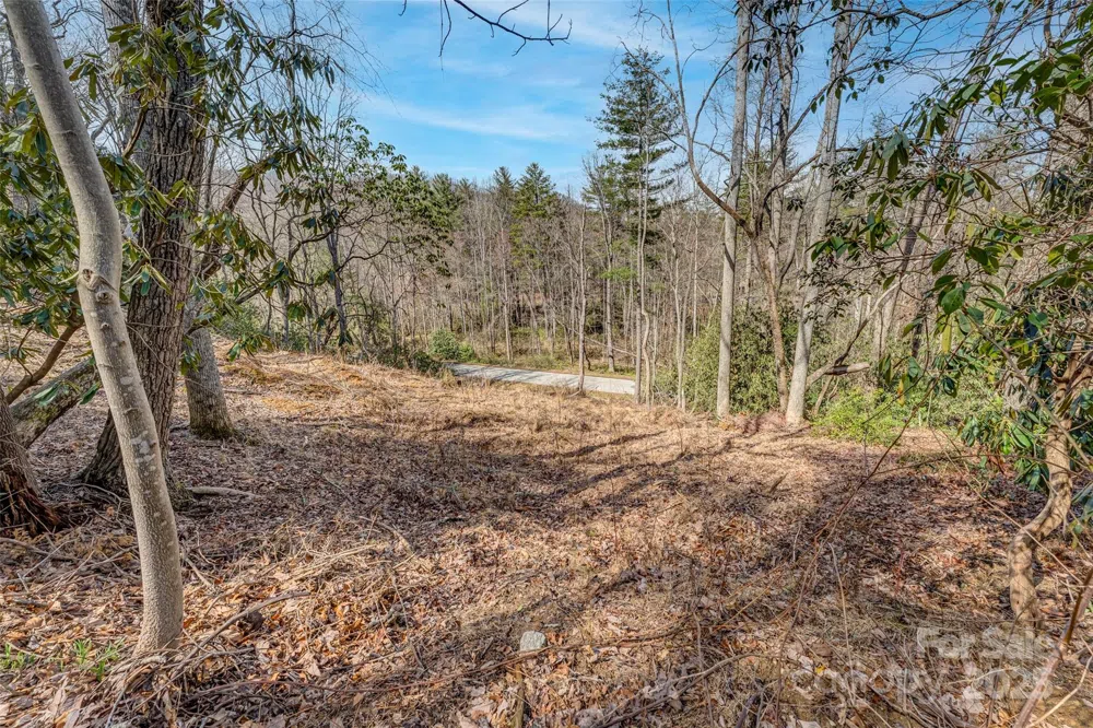 99999 Christa Lane #3 Arden, NC 28742