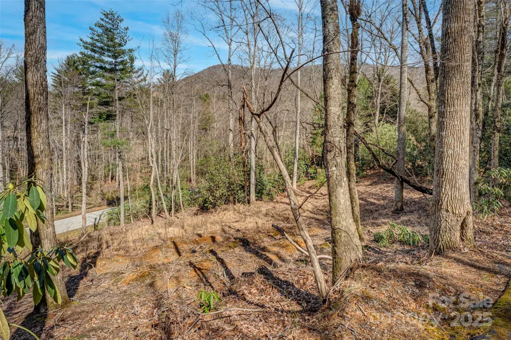 99999 Christa Lane #3 Arden, NC 28742