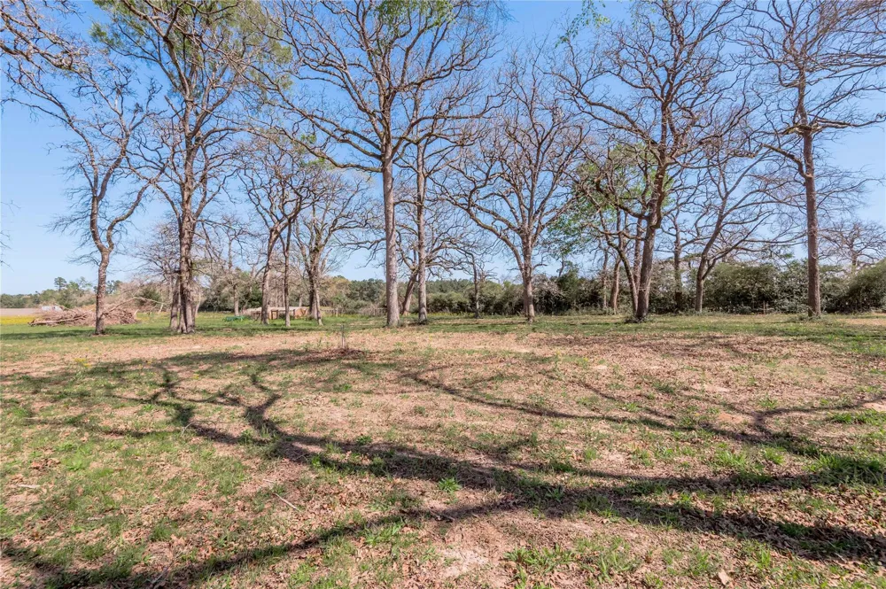 3006 County Road 204 Centerville, TX 75833