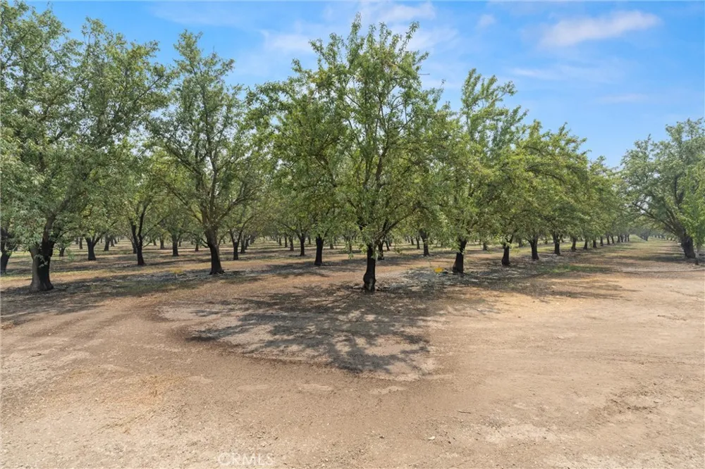 2737 House Avenue Durham, CA 95938