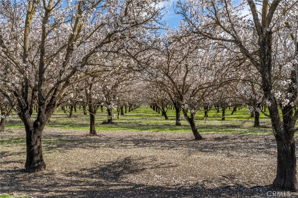 2737 House Avenue Durham, CA 95938
