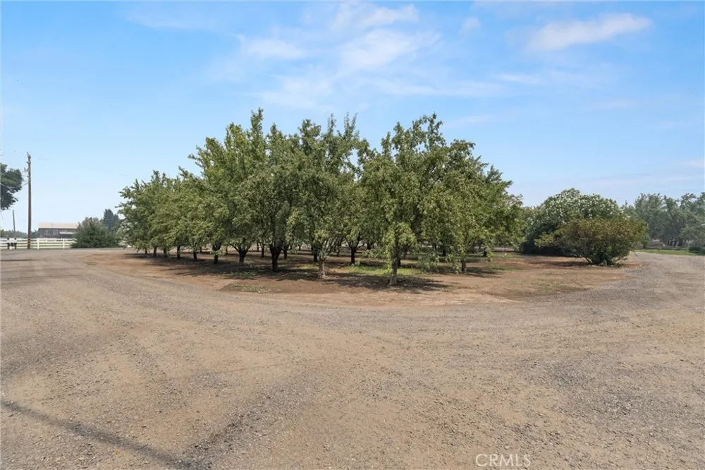2737 House Avenue Durham, CA 95938
