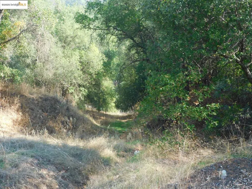 20556 Columbia WAY Sonora, CA 95370