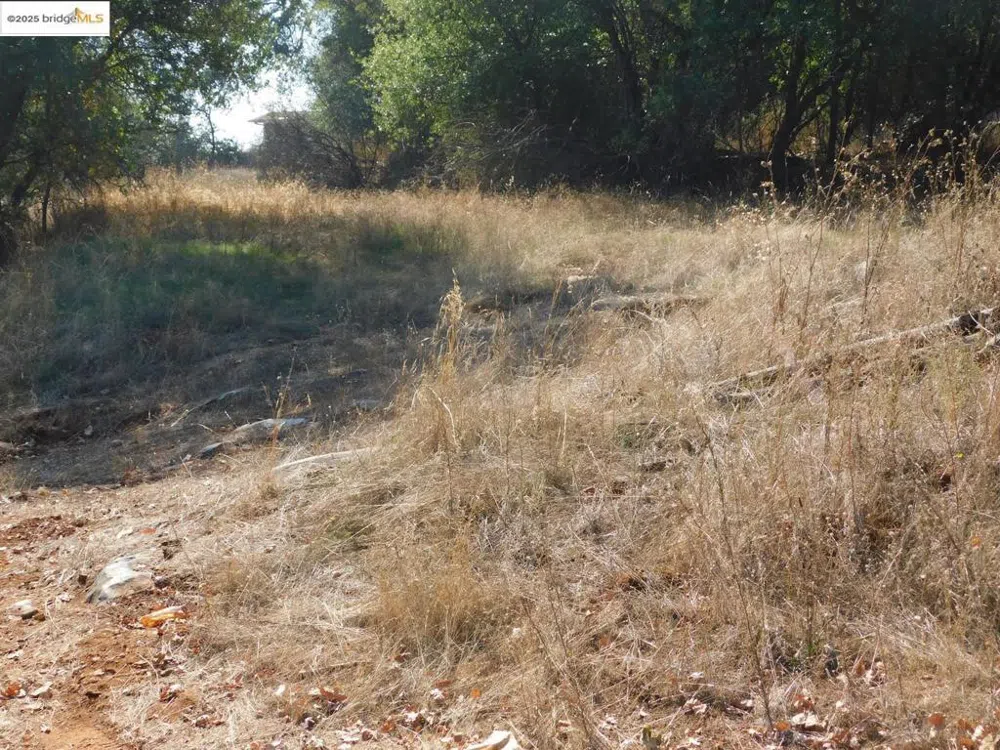 20556 Columbia WAY Sonora, CA 95370