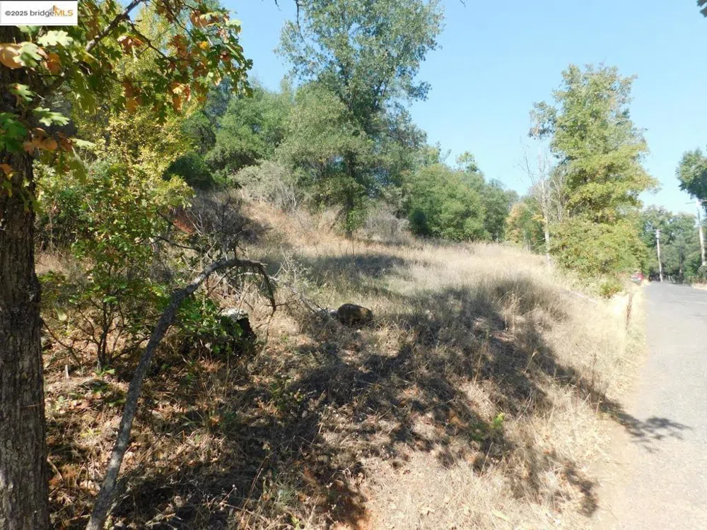 20556 Columbia WAY Sonora, CA 95370