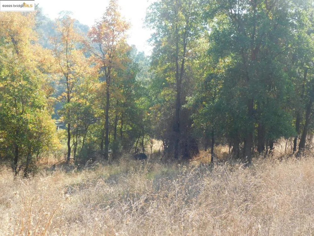 20556 Columbia WAY Sonora, CA 95370